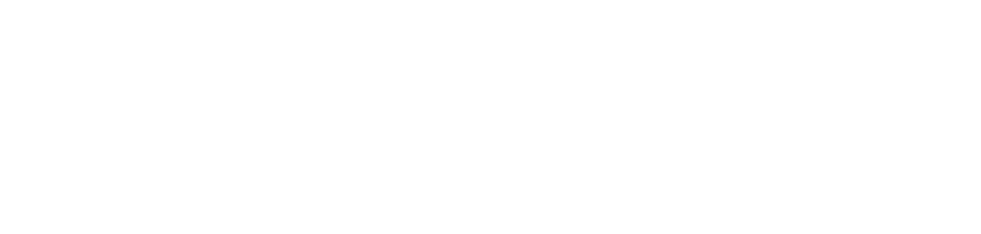 Moonwalk Society
